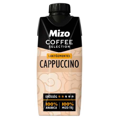 Cappuccino UHT lactose-free, semi-fat coffee milk 330 ml